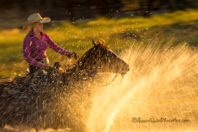 Cowgirl Splash by Susan Quin Byrd copy