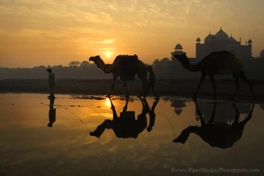 India 07 1160