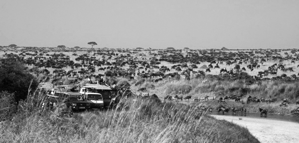 Africa-Photo-safari-Kenya-MaraJulyO2742 - Version 2