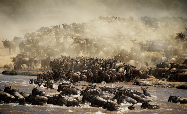 Africa-Photo-safari-Kenya-_DSC3746 2