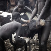 Suri cattle camp in the Omo Valley, Ethiopia