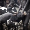 Suri cattle camp in the Omo Valley, Ethiopia
