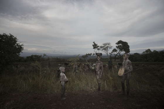 Suri cattle camp in the Omo Valley, Ethiopia