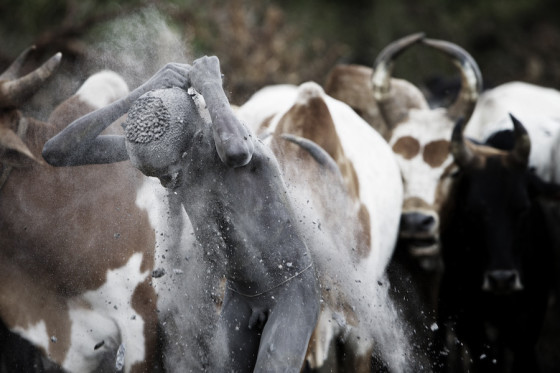 Suri cattle camp in the Omo Valley, Ethiopia