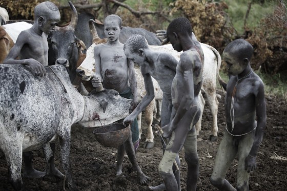 Suri cattle camp in the Omo Valley, Ethiopia