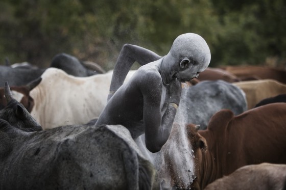 Suri cattle camp in the Omo Valley, Ethiopia