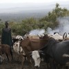 Suri cattle camp in the Omo Valley, Ethiopia