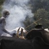 Suri cattle camp in the Omo Valley, Ethiopia