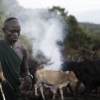 Suri cattle camp in the Omo Valley, Ethiopia