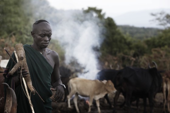 Suri cattle camp in the Omo Valley, Ethiopia