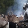 Suri cattle camp in the Omo Valley, Ethiopia