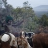 Suri cattle camp in the Omo Valley, Ethiopia