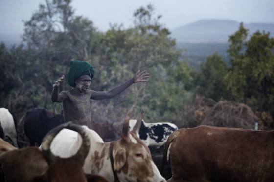 Suri cattle camp in the Omo Valley, Ethiopia