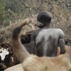 Suri cattle camp in the Omo Valley, Ethiopia