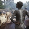 Suri cattle camp in the Omo Valley, Ethiopia