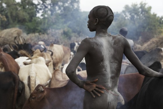 Suri cattle camp in the Omo Valley, Ethiopia