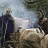 Suri cattle camp in the Omo Valley, Ethiopia