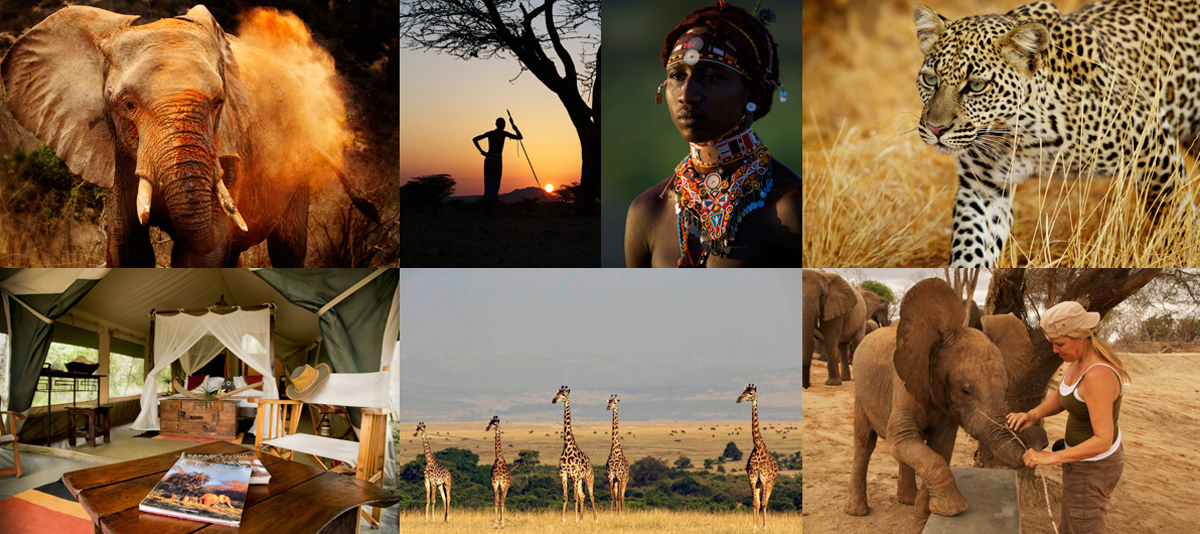 signaturesafari2