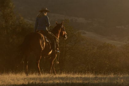 horse photography workshop