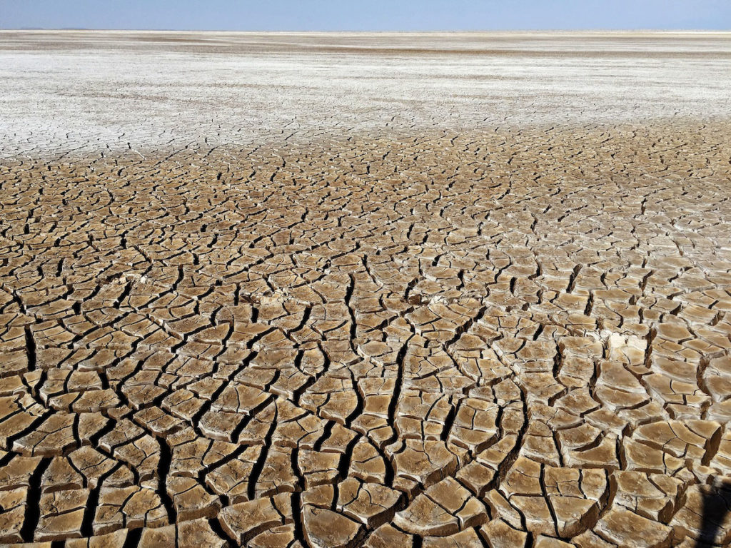 Chalbi Desert, Northern Kenya