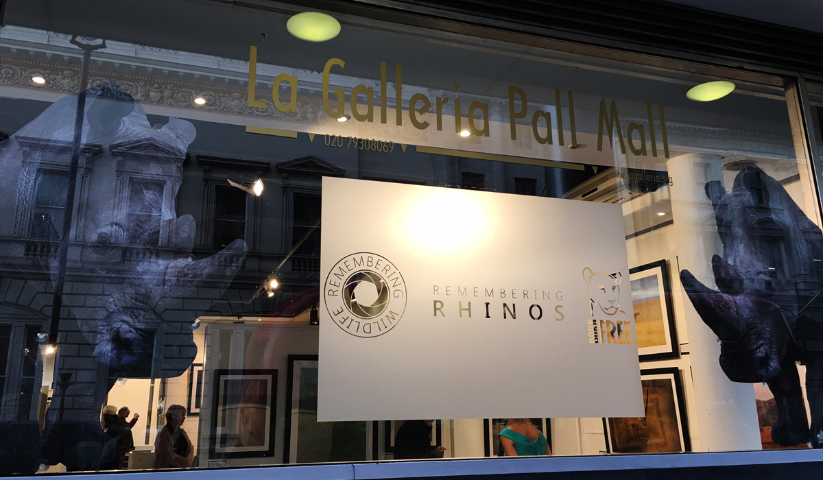 Remembering Rhinos gallery exhibit