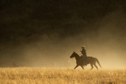 Horse-Photography-workshop-BV2U1972-Edit