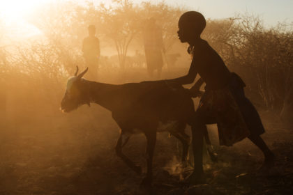 Young boy herding the goats in Angola on a photo tour