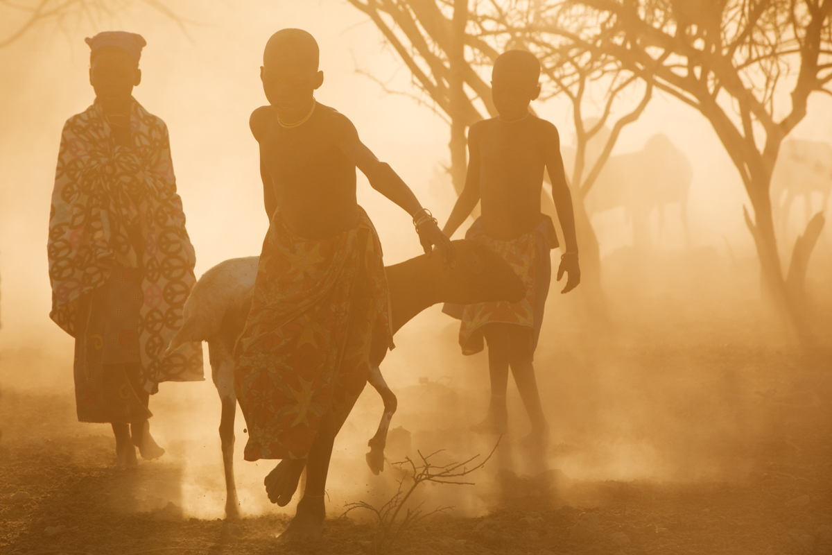 Angola, Herding livestock