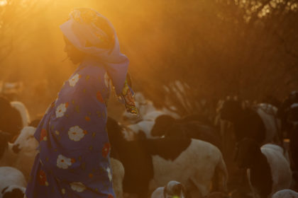 Herding the livestock in a village in Angola on a photo tour