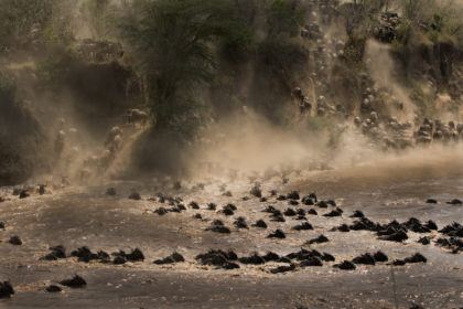Great migration photo safari in Kenya