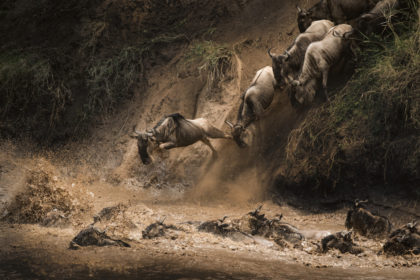 Great-Migration-Photo-Safari-5E4A9258-Edit