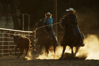 cowboy roping at a horse photography workshop