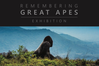 Remembering Great Apes Exhibition Invitation
