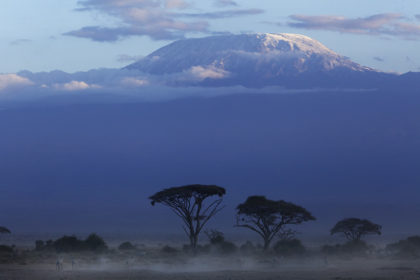 Amboseli-Africa-Photo-Safari-AmbAugN921