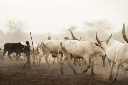 South-Sudan-Mundari-Cattle-Camp_DSC6210-1