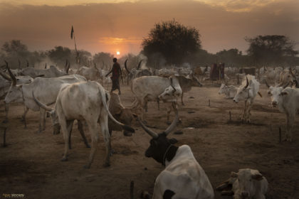 South-Sudan-Mundari-Cattle-Camp_DSC6412-1