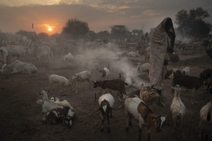 South-Sudan-Mundari-Cattle-Camp_DSC6438-1