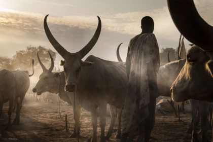South-Sudan-Mundari-Cattle-camp_DSC6018-1