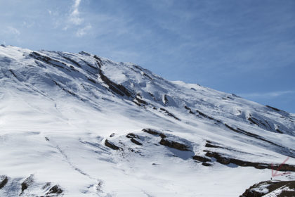 Snow-Leopard-Expedition-PSM_1982