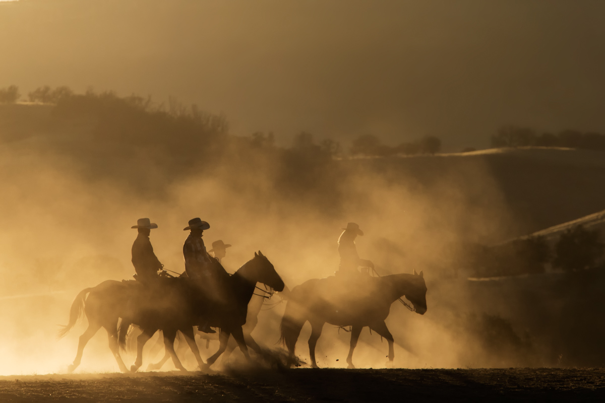 Cowboys photographed at a horse photography workshop