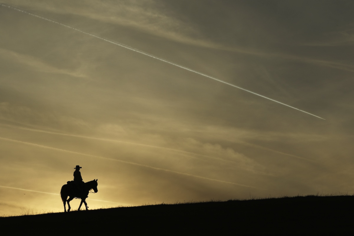 cowgirl photographed at a horse photography workshop