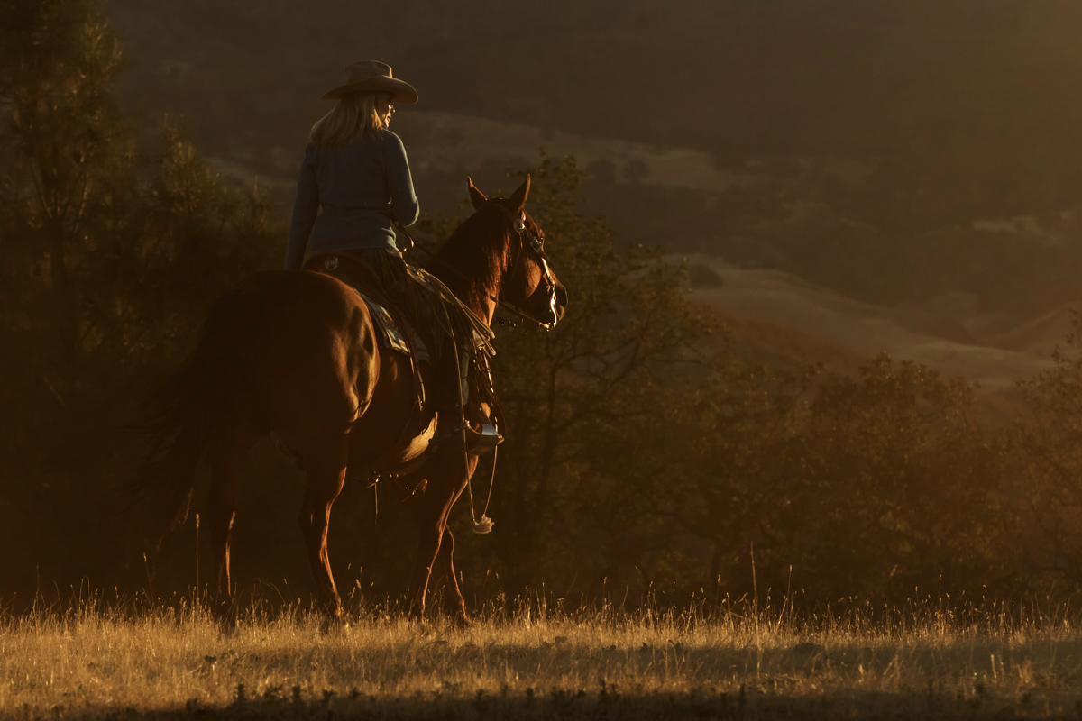 cowgirl photographed at a horse photography workshop