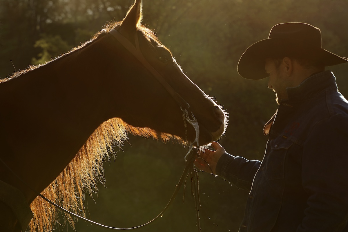 horse and cowboy photographed at a horse photography workshop