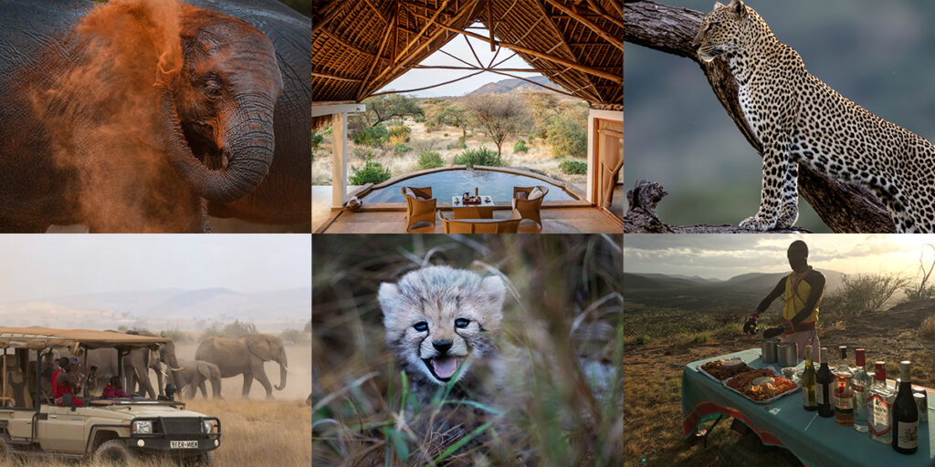 Africa photo safari 