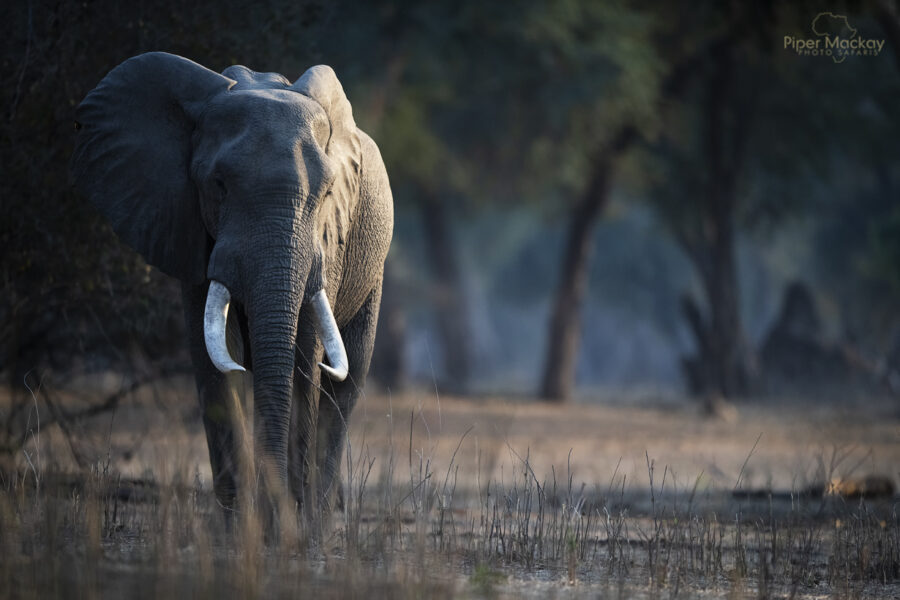 Hidden Treasures - Zambia