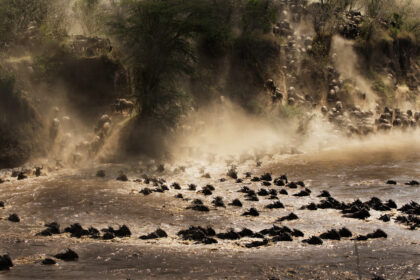 Great-Migration-PHoto-Safari-5E4A9323-Edit