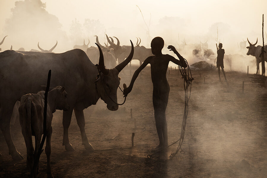 UNTAMED AFRICA 2027