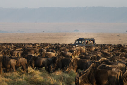 Meikan-Safaris-Migration-PSM_0478-1
