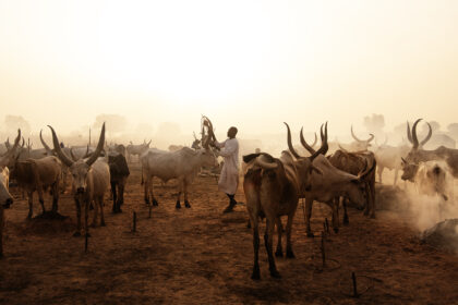 Mundari-Cattle-Camp-South-Sudan-DSC_6821-copy