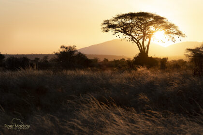 Landscape-Kenya-Africa-Photo-Safari-_PSM0109-1